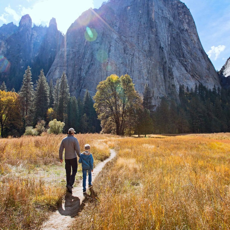 Father son walking Yosemite AdobeStock 196967522 LR adjusted square compressed