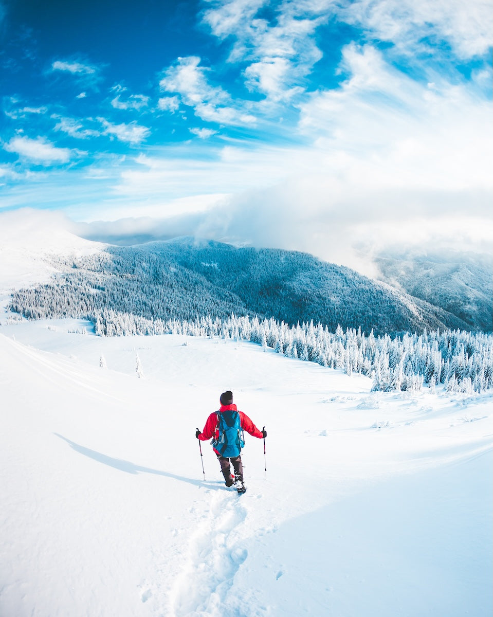 Snowshoeing in mountains AdobeStock 188112116 crop WSR