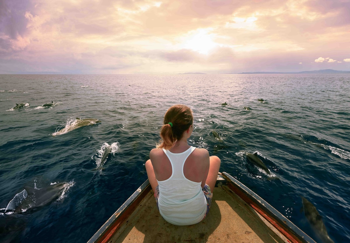Woman on bow of boat with dolphins iStock 676011464 LR mod WSR